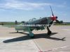 aviatic_pout-10_0025b.jpg