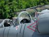aviatic_pout-10_0039a.jpg