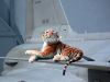 aviatic_pout_2012_73a.jpg