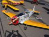 aviatic_pout_2014_57i.jpg