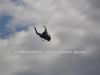 aviatic_pout_2014_97a.jpg