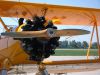 aviatic_pout_2015_74a.jpg