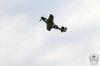 aviatic_pout_2016_60g.jpg