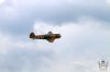 aviatic_pout_2016_72w.jpg