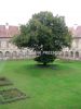 rajhrad_0013.jpg