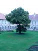 rajhrad_0013a.jpg