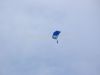 ciaf-2010_0002a.jpg