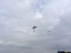 ciaf-2010_0002b.jpg