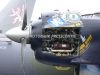 ciaf-2010_0008a.jpg