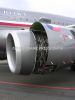 ciaf-2010_0009.jpg