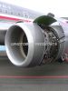 ciaf-2010_0009a.jpg