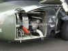 ciaf-2010_0010g.jpg