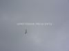 ciaf-2010_0014a.jpg