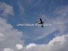 ciaf-2010_0015.jpg