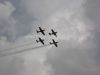 ciaf-2010_0016b.jpg