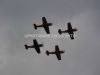 ciaf-2010_0016c.jpg