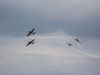 ciaf-2010_0016d.jpg