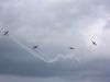 ciaf-2010_0016e.jpg