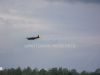 ciaf-2010_0016g.jpg