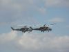 ciaf-2010_0022a.jpg