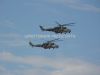 ciaf-2010_0022b.jpg