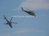 ciaf-2010_0022c.jpg