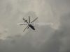 ciaf-2010_0022d.jpg