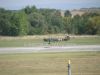 ciaf-2011_0055h.jpg