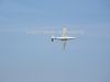 ciaf-2011_0059k.jpg