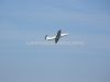 ciaf-2011_0059l.jpg