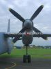 ciaf-2012_0035a.jpg