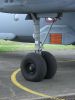 ciaf-2012_0035c.jpg