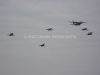ciaf-2012_0038.jpg