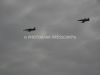 ciaf-2012_0038c.jpg