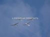 ciaf-2012_0049b.jpg
