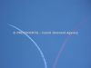 ciaf-2013_0024a.jpg