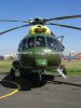 ciaf-2013_0032a.jpg