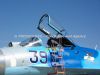 ciaf-2013_0033d.jpg