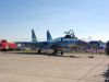 ciaf-2013_0033e.jpg