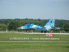 ciaf-2013_0038g.jpg