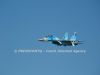 ciaf-2013_0038t.jpg