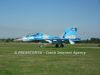 ciaf-2013_0038ze.jpg