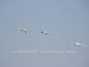 ciaf-2014_0037b.jpg
