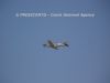 ciaf-2014_0041c.jpg