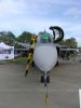 ciaf-2015_0007.jpg