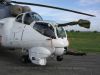 ciaf-2015_0009b.jpg
