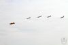 ciaf-2016_0063c.jpg