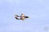 ciaf-2016_0086g.jpg