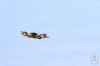 ciaf-2016_0086k.jpg