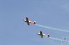 ciaf-2016_0093k.jpg